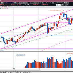 비둘기와 함께 날아온 AI 낙관론 