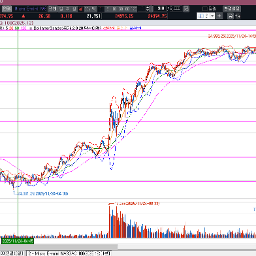 비둘기와 함께 날아온 AI 낙관론 