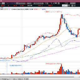 골드가 미쳤네요