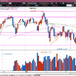 그나마 아래꼬리라 다행